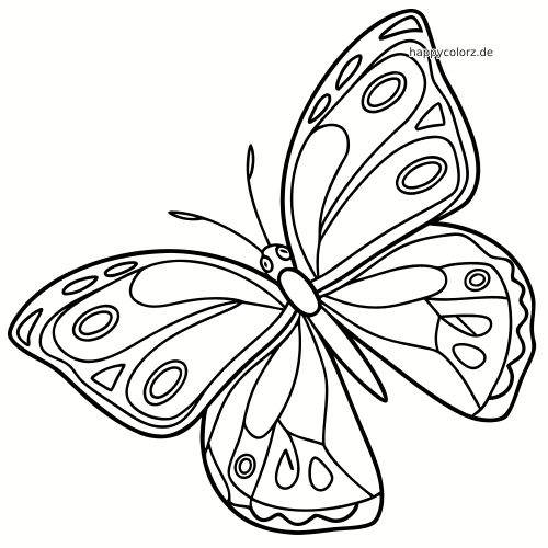 Ein symmetrischer Schmetterling in klarer schwarzer Linienzeichnung mit gemusterten Flügeln und einfachen, kräftigen Konturen zum Ausmalen.