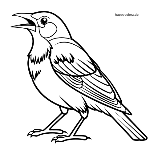 Schwarz-weiße Umrisszeichnung einer Amsel in Nahaufnahme, die mit geöffnetem Schnabel in singender Haltung steht.