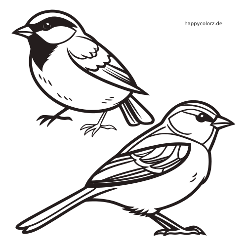 Ein Spatz und eine Meise sind als einfache Vogelzeichnung mit kräftigen schwarzen Umrissen im Stehen dargestellt.