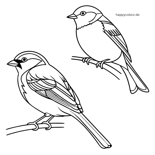 Zwei einfache Singvögel, ein Spatz und eine Meise, sitzen als klare Umrisszeichnung auf getrennten Ästen.