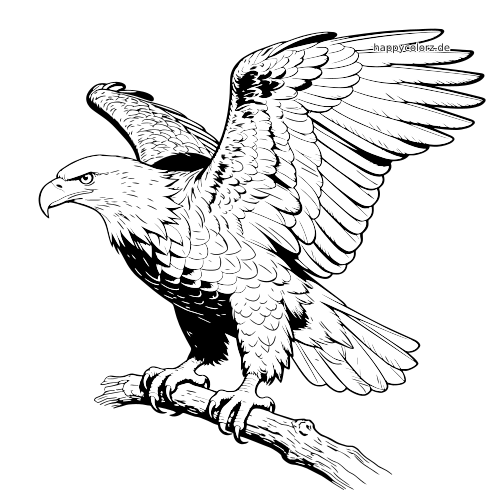 Ein detaillierter Weißkopfseeadler sitzt auf einem Ast und breitet seine Flügel weit aus, mit klar gezeichneten Federn.