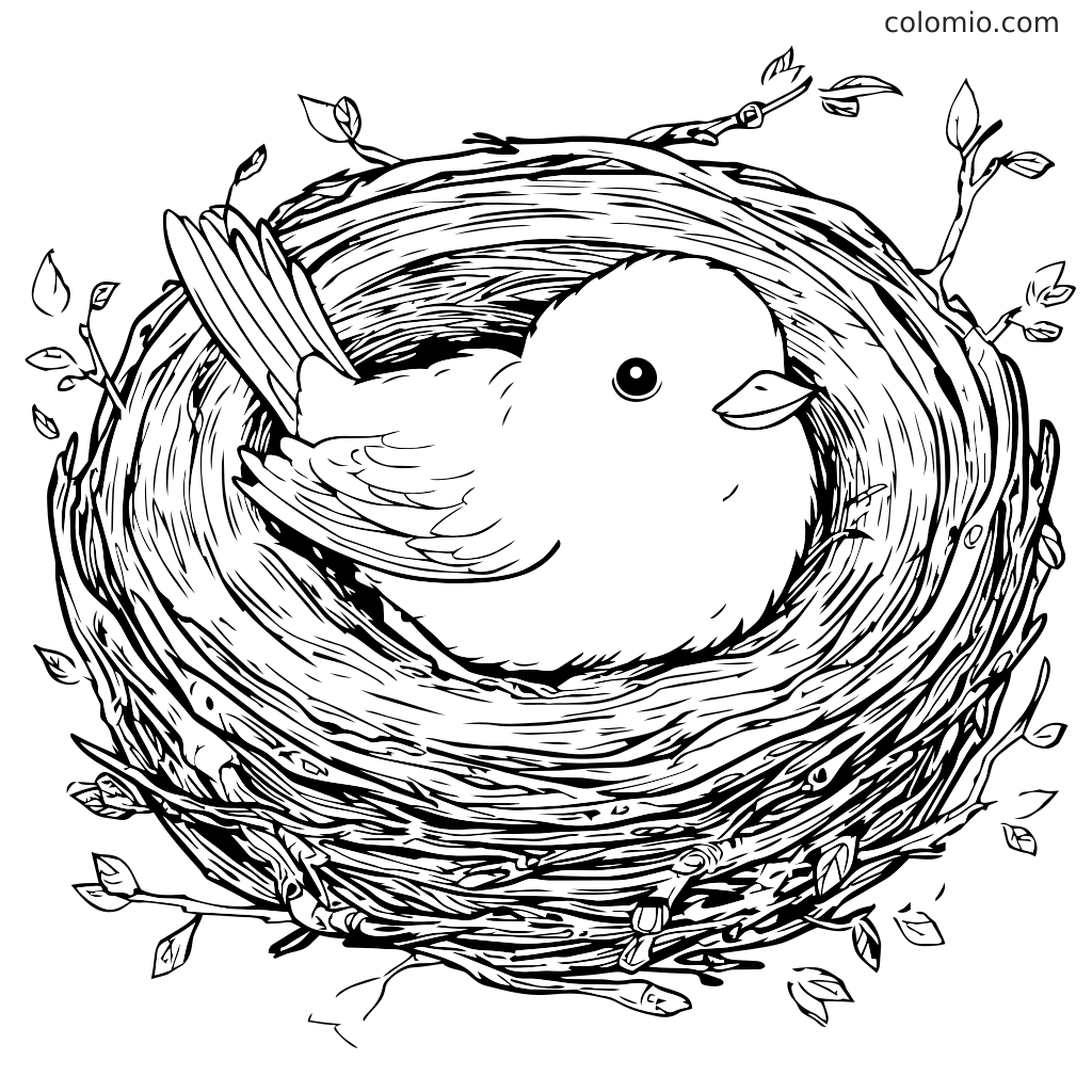 Eine Malvorlage mit einem niedlichen Vogel, der in einem Nest sitzt, umgeben von Zweigen und Blättern.