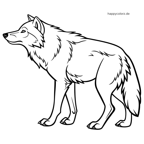 Schwarz-weiße Umrisszeichnung eines bösen Wolfs in Seitenansicht mit dichtem Fell und ruhigem Gesichtsausdruck.