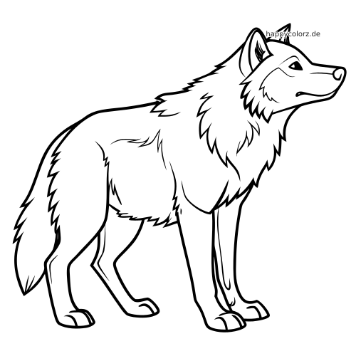 Detaillierte Linienzeichnung eines stehenden Husky-Wolf-Hybrids mit zotteligem Fell, langen Beinen und buschigem Schwanz.