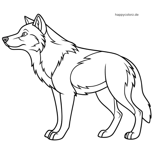 Einfache Linienzeichnung eines stehenden Husky-Wolf-Hybrids in Seitenansicht mit dichtem Halsfell und buschigem Schwanz.