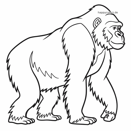 Ein einfacher Gorilla in Schwarz-Weiß in Seitenansicht, der mit kräftigem Körper und klaren Umrissen auf allen vieren steht.