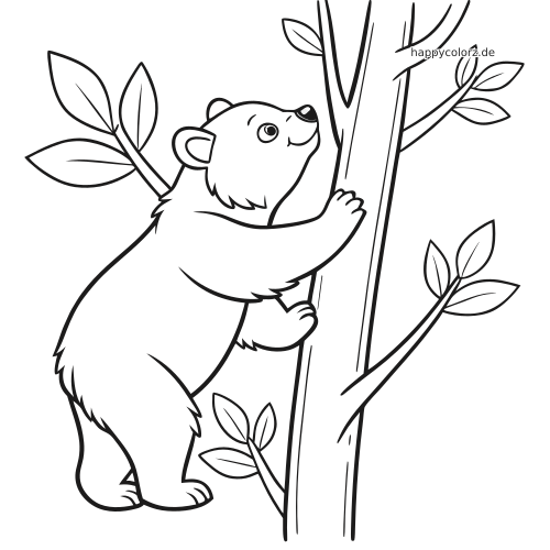 Ein junger Bär umklammert einen schlanken Baumstamm und klettert daran hoch, umgeben von einfachen Blättern und Ästen.