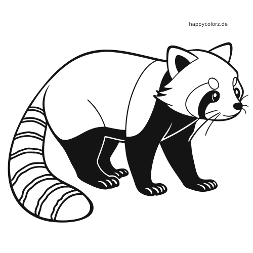 Ein realistischer Roter Panda in Seitenansicht mit gestreiftem Schwanz, rundem Gesicht und klaren schwarzen Umrisslinien.