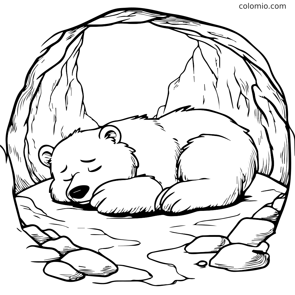 Ein süßer schlafender Bär in einer Höhle, umgeben von Steinen, perfekt zum Ausmalen.
