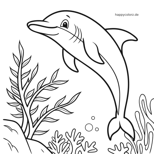 Ein Delfin schwimmt nach oben durch ein Korallenriff mit Algen, Korallen und kleinen Luftblasen.