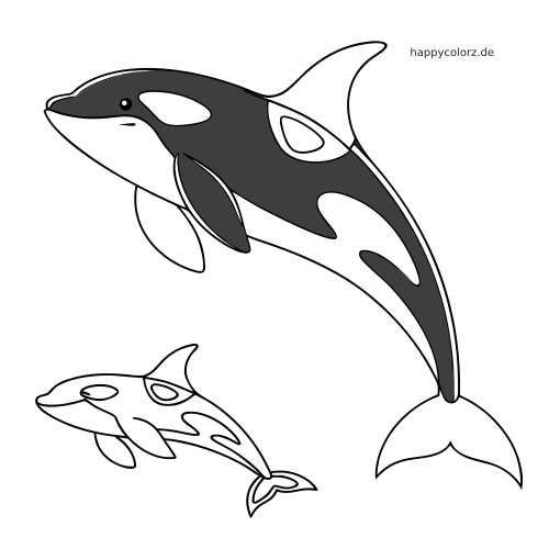 Eine schlichte schwarz-weiße Illustration zeigt eine große Orca-Mutter, die mit einem kleineren Kalb darunter schwimmt.