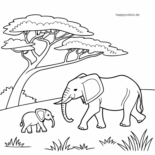 Ein großer Elefant läuft mit seinem Jungtier über die Savanne unter einer breiten Akazie.