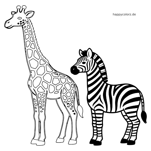 Eine einfache schwarz-weiße Umrisszeichnung einer Giraffe neben einem Zebra, beide in klarer Seitenansicht dargestellt.