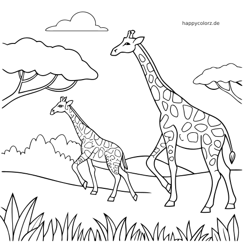 Zwei Giraffen, darunter ein kleineres Kalb, laufen durch die Savanne mit Akazien, Büschen, Gras und einer Wolke.