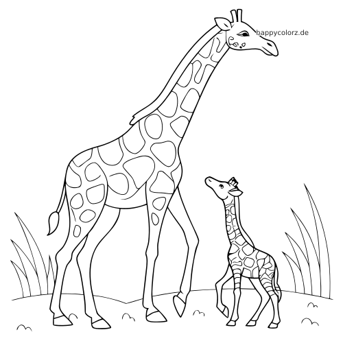 Eine einfache schwarz-weiße Umrisszeichnung zeigt eine Giraffenmutter neben ihrem Kalb auf einer Wiese mit hohem Gras.