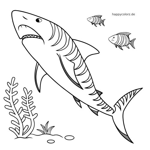 Ein einfacher Tigerhai mit Streifen schwimmt unter Wasser neben Wasserpflanzen und zwei kleinen gestreiften Fischen.