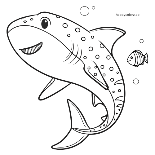 Ein Walhai mit runden Flecken schwimmt unter Wasser neben einem kleinen Fisch und mehreren Blasen.
