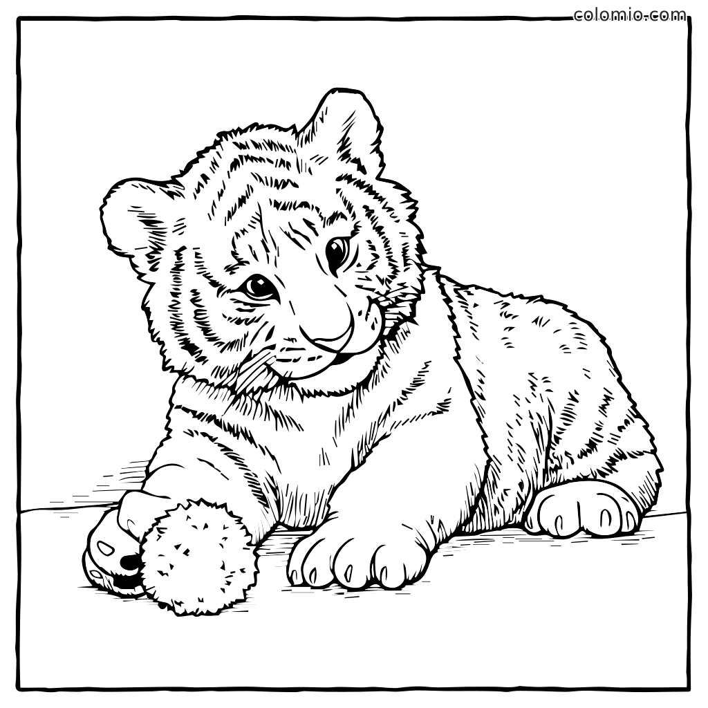 Niedlicher Baby-Tiger spielt mit einem Ball Ausmalbild Ein verspielter Baby-Tiger liegt mit einem flauschigen Ball, perfekt zum Ausmalen.