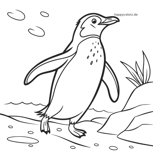 Ein Brillenpinguin mit Flecken auf der Brust steht am Ufer neben Wasser, Steinen und einigen Pflanzen.