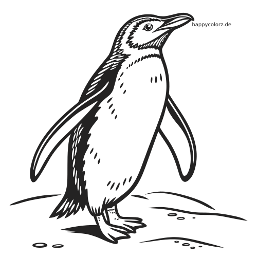 Ein detailreicher Eselspinguin steht aufrecht auf schneebedecktem Boden, mit klar gezeichnetem Gefieder und schlichtem Hintergrund.
