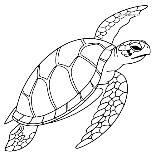 Schwarz-weiße Linienzeichnung einer echten Karettschildkröte beim Schwimmen mit erhobener Flosse und gemustertem Panzer.
