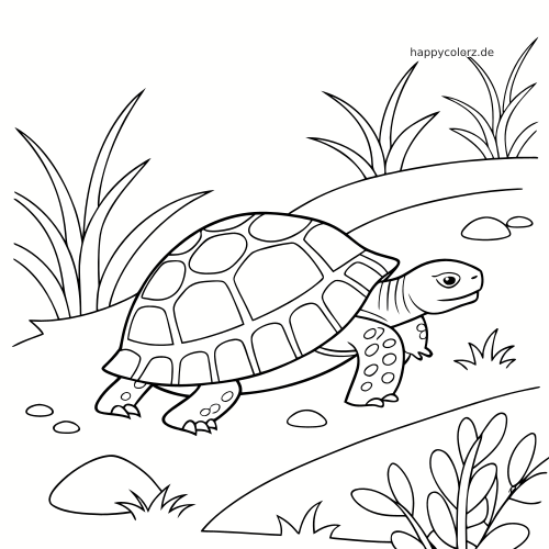 Einfache Linienzeichnung einer Schildkröte, die an Land zwischen Gras, Steinen und Büschen in einer Naturszene läuft.