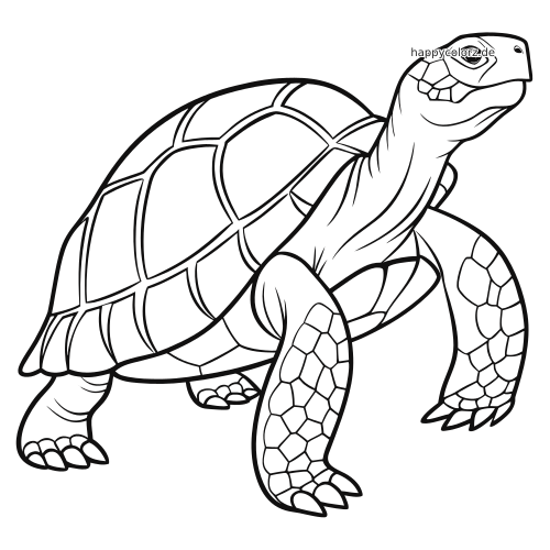 Schwarz-weiße Linienzeichnung einer Galápagos-Riesenschildkröte in Nahansicht mit großem Panzer und deutlich gezeichneten schuppigen Beinen.