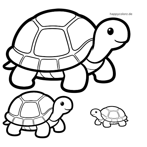 Drei Schildkröten im Cartoon-Stil mit runden Panzern und freundlichen Gesichtern, als Familie in verschiedenen Größen dargestellt.