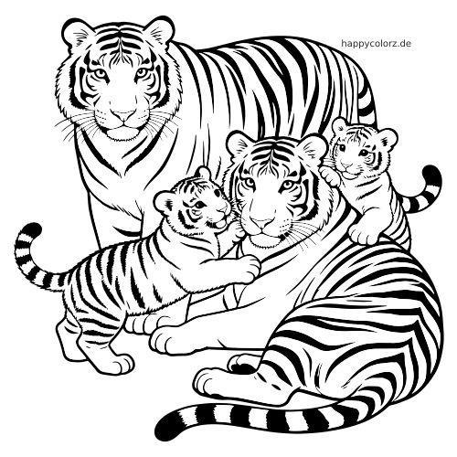 Ein realistisches Ausmalbild zeigt eine Tigerfamilie mit zwei erwachsenen Tigern und zwei Tigerjungen, die eng beieinander sind.