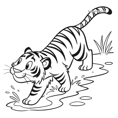 Ein gezeichneter Tiger läuft durch flaches Wasser, mit kleinen Spritzern, Pfützen und etwas Gras im Hintergrund.