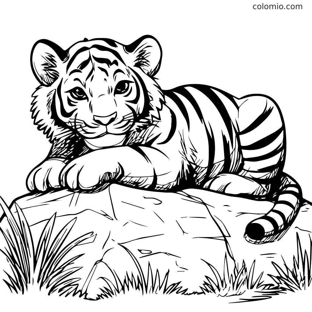 Ein verspielter Tiger liegt auf einem Stein und wartet darauf, ausgemalt zu werden. Perfekt für Kunstaktivitäten mit Kindern.