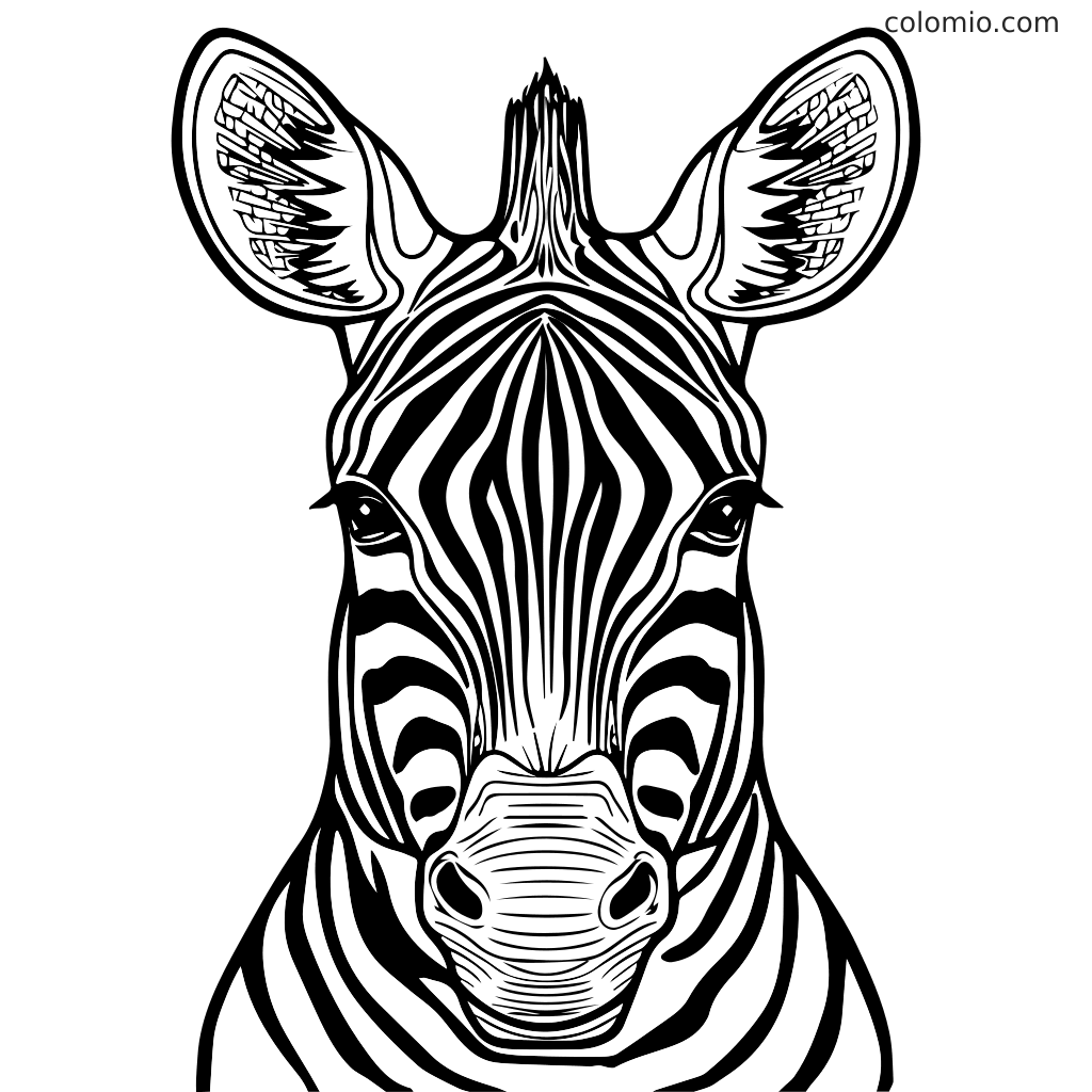 Aufwendige Vorderansicht eines Zebrakopfes Ausmalbild für Kinder Eine detaillierte Schwarz-Weiß-Illustration des Gesichts eines Zebras, perfekt zum Ausmalen.