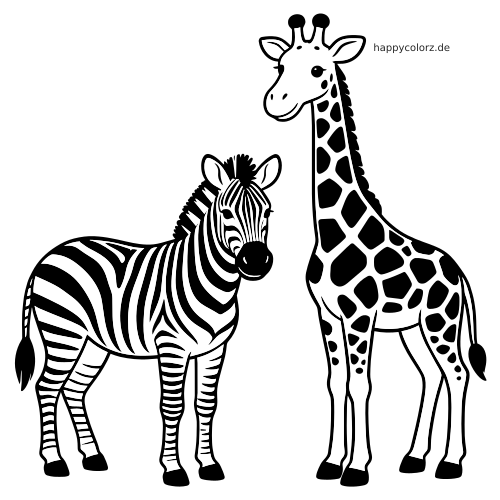 Ein detailreiches schwarz-weißes Zebra und eine Giraffe stehen nebeneinander mit deutlichen Streifen und großen Flecken.