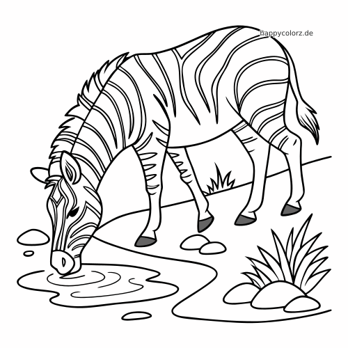 Ein Zebra trinkt aus einem kleinen Wasserloch. Daneben sind Steine, Grasbüschel und klare, einfache Konturen zu sehen.