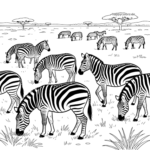 Schwarz-weißes Ausmalbild mit mehreren grasenden Zebras in einer offenen Savanne mit Akazienbäumen im Hintergrund.