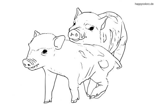 schwein malvorlage kostenlos » schweine ausmalbilder