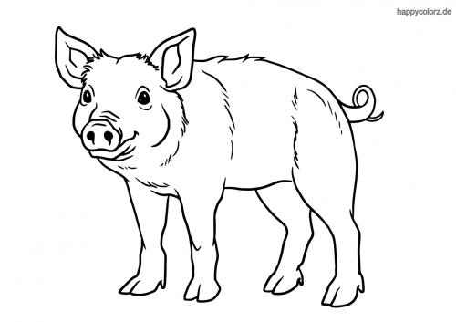 40 Kinder Postkarten lustiger Bauernhof versch Tiere Schwein Kuh usw Ausmalen 