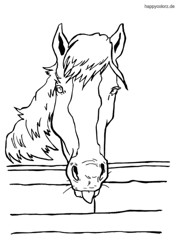 Pferd am Zaun Ausmalbild