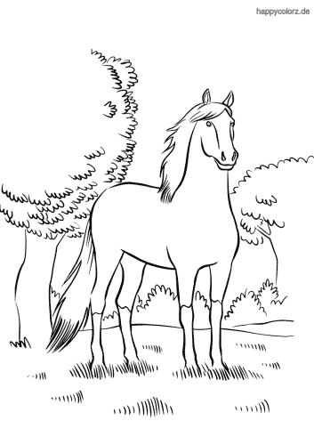 Pferd im Wald Ausmalbild