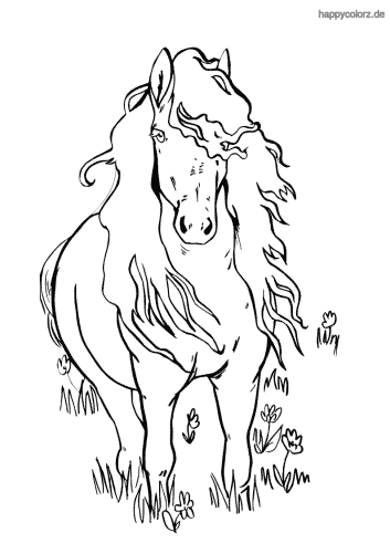pferd malvorlage gratis  zeichnen und färben