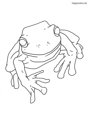 Bilder ausdrucken zum frösche kostenlos Frosch Malvorlage