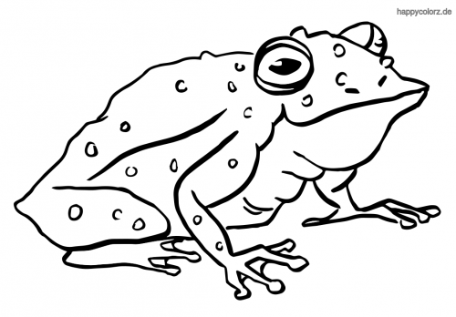Bilder kostenlos zum ausdrucken frösche Ausmalbilder Frosch