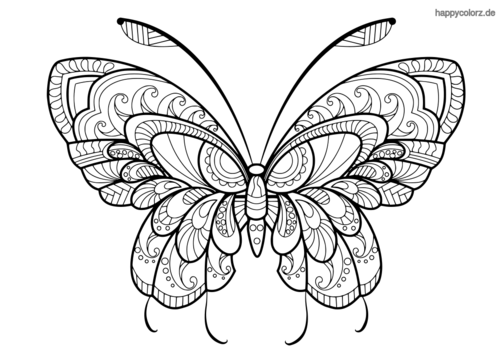 Schmetterling Malvorlage