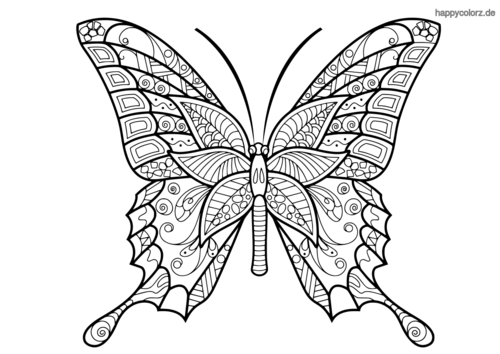 Schmetterling zum ausmalen 38 Schmetterling