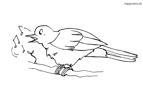 vogel malvorlage kostenlos » vögel ausmalbilder