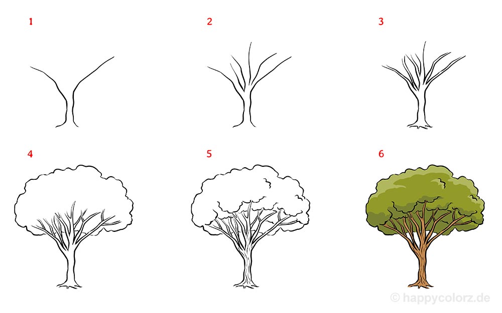 Baum zeichnen SchrittfürSchritt Anleitung mit Bildern Baum malen