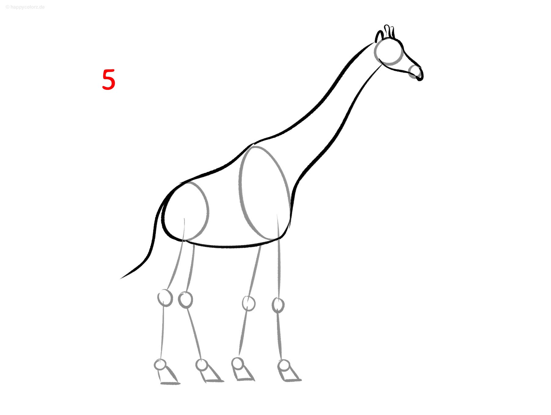 Giraffe malen - Schritt für Schritt