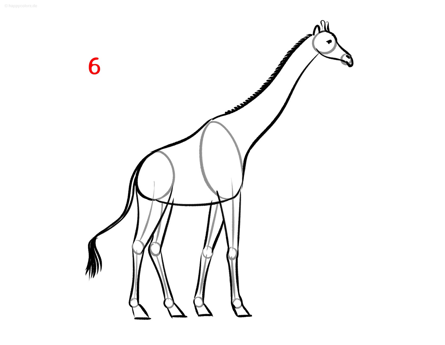 Giraffe zeichnen - Schritt für Schritt