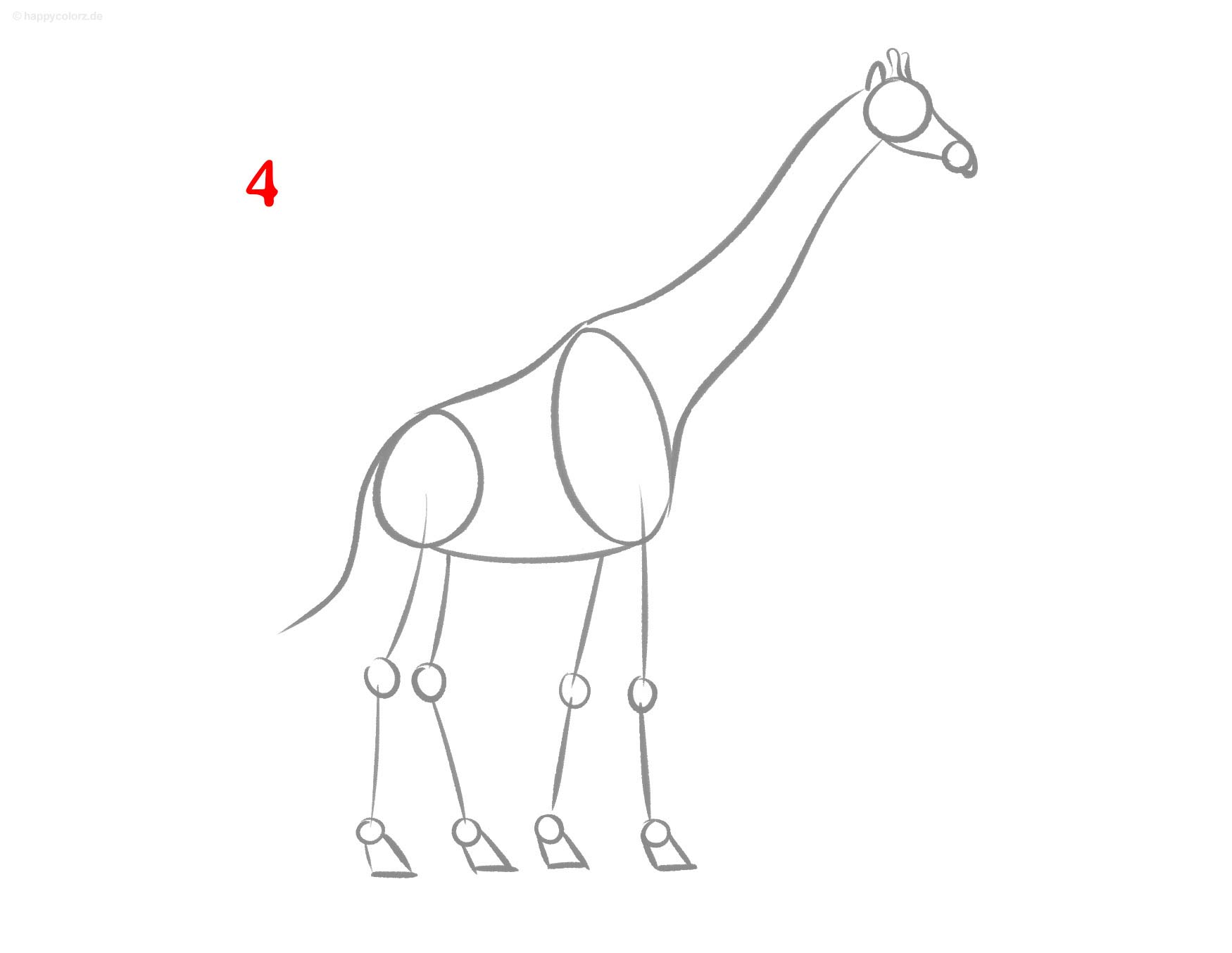 Giraffe Zeichnung - Schritt für Schritt
