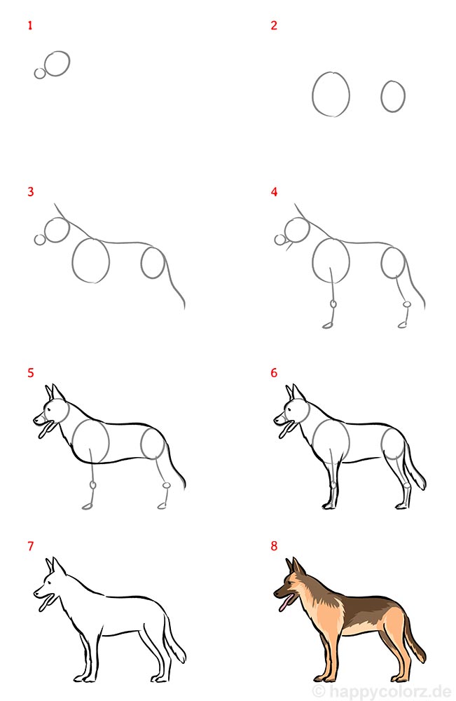 Hund zeichnen - Schritt für Schritt